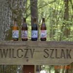 Zdjęcie dodane przez  - Wilczy Szlak