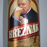 Breznak (Czechy)