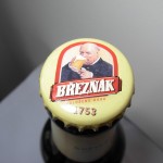 Breznak (Czechy)