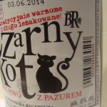 Czarny Kot