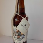 Podróże Kormorana – American IPA