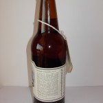 Podróże Kormorana – American IPA