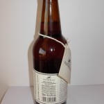 Podróże Kormorana – American IPA