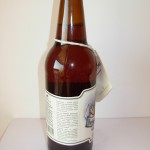 Podróże Kormorana – American IPA