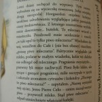 Podróże Kormorana – Witbier
