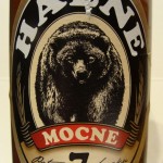 Halne Mocne