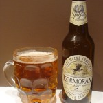 Kormoran Jasny