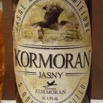 Kormoran Jasny