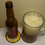 Mikkeller Nelson Sauvin Single Hop IPA (Dania)