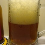 Mikkeller Nelson Sauvin Single Hop IPA (Dania)