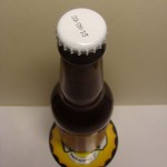 Mikkeller Nelson Sauvin Single Hop IPA (Dania)