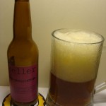 Mikkeller Nelson Sauvin Single Hop IPA (Dania)