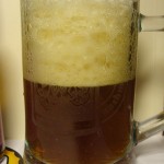 Mikkeller Summit Single Hop IPA (Dania)
