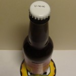 Mikkeller Summit Single Hop IPA (Dania)