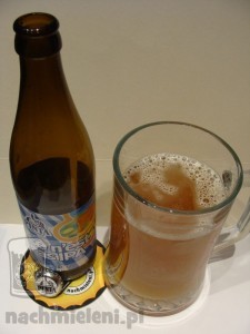 PINTA Ce n’est pas IPA