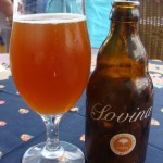 Sovina Amber (Portugalia)