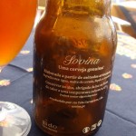 Sovina Amber (Portugalia)