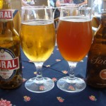 Sovina Amber (Portugalia)