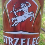 Strzelec