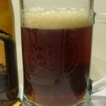 Ursa Deszcz w Cisnej