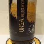 Ursa Deszcz w Cisnej