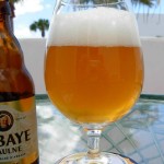 Abbaye d’Aulne Blonde (Belgia)