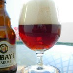 Abbaye d’Aulne Brune (Belgia)