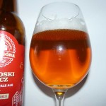 Bydgoski APAcz