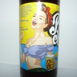Big Chill Wit Saison