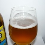 Big Chill Wit Saison