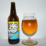 Big Chill Wit Saison