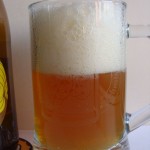 Birbant Citra IPA