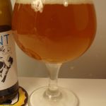 Birbant Pale Ale Nelson Sauvin