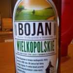 Zdjęcie dodane przez Maciek - Bojan Wielkopolskie