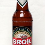 Brok Sambor