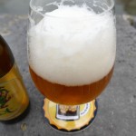 Brugse Zot (Belgia)