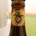 Brugse Zot Dubbel (Belgia)