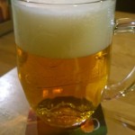 Budweiser Nefiltrovany (Czechy)