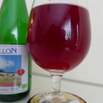 Cantillon Kriek 100% Lambic Bio (Belgia)
