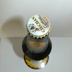 Ciechan Porter 22