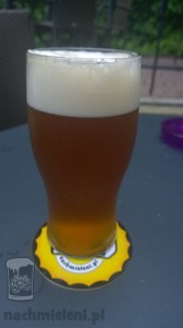 De Molen Single Hop Citra (Holandia)