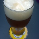 De Molen Single Hop Citra (Holandia)