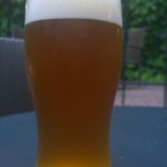 De Molen Single Hop Citra (Holandia)