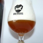 Doctor Brew Ella IPA