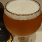 Doctor Brew Molly IPA