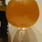 Doctor Brew Molly IPA