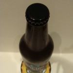 Doctor Brew Molly IPA