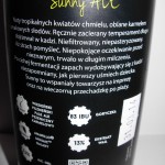 Doctor Brew Sunny Ale