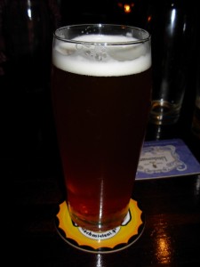 Enigma Single Hop IPA