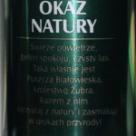 Żubr